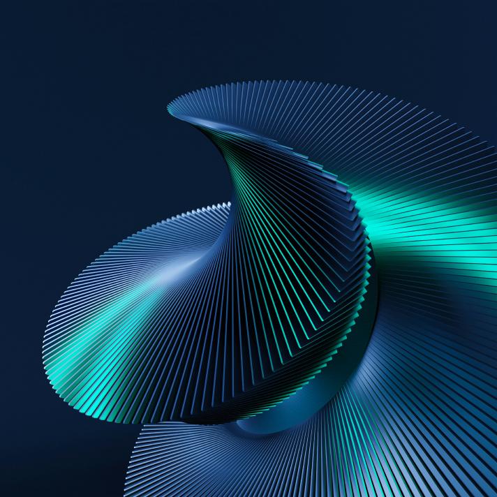 Article: What you need ...